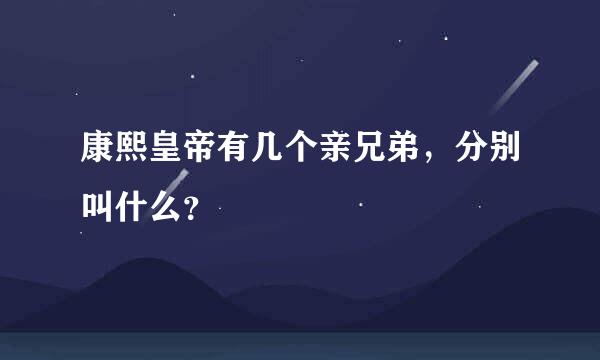 康熙皇帝有几个亲兄弟，分别叫什么？