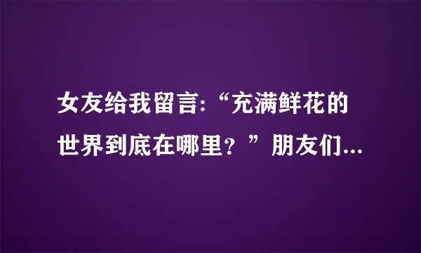 女友给我留言:“充满鲜花的世界到底在哪里？”朋友们我该怎么理解和？我该怎么回答？