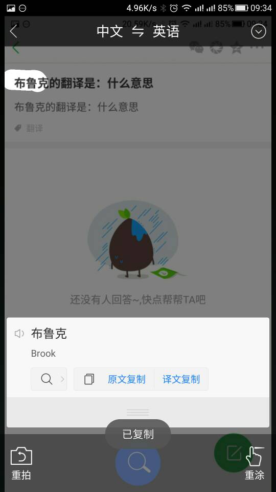 布鲁克的翻译是：什么意思