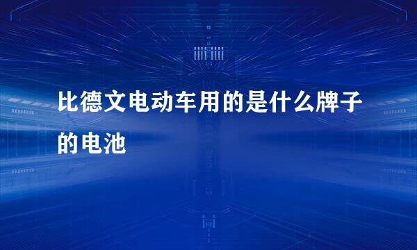 比德文电动车用的是什么牌子的电池