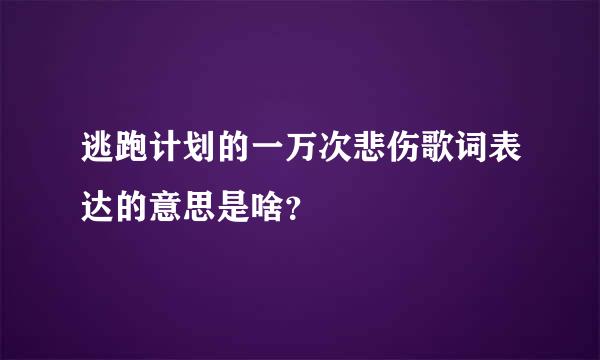 逃跑计划的一万次悲伤歌词表达的意思是啥？