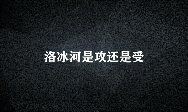 洛冰河是攻还是受