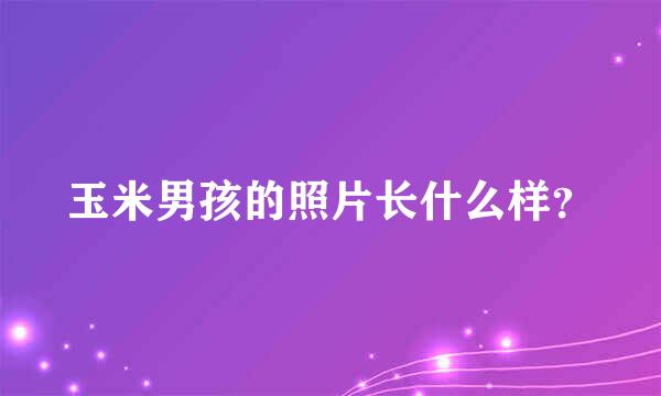 玉米男孩的照片长什么样？