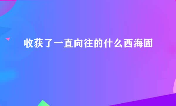 收获了一直向往的什么西海固