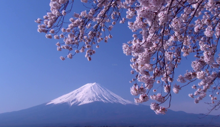 《富士山下》的歌词什么意思？