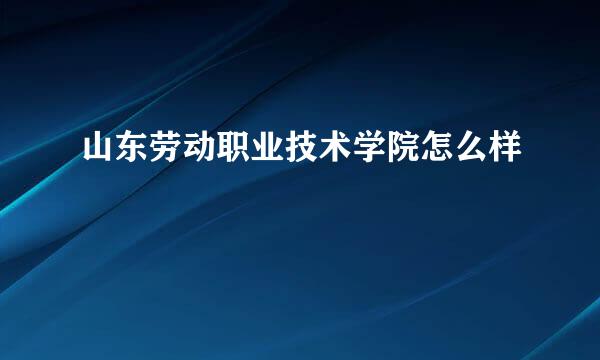 山东劳动职业技术学院怎么样