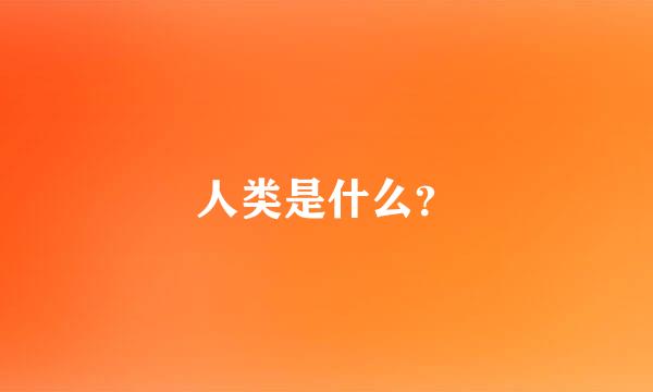 人类是什么？