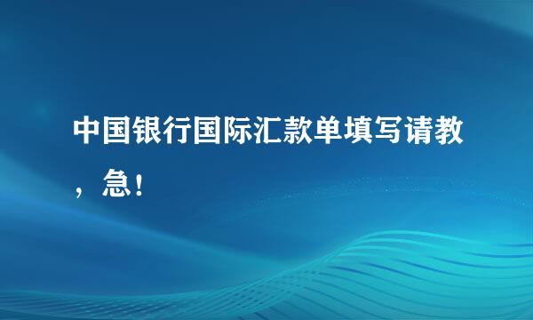 中国银行国际汇款单填写请教，急！