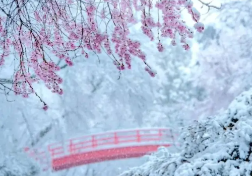 北京出现四月飘雪，一夜穿回冬天，四月飘雪有什么寓意征兆？