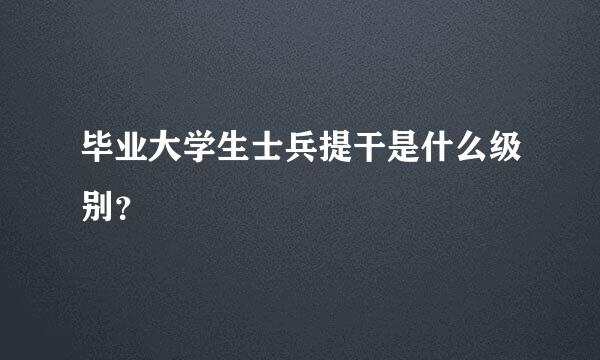 毕业大学生士兵提干是什么级别？