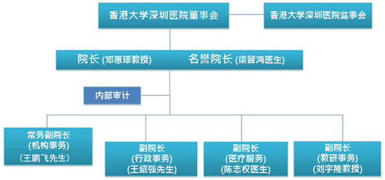 香港大学深圳医院怎么样