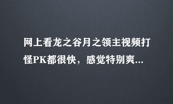 网上看龙之谷月之领主视频打怪PK都很快，感觉特别爽，实际上是那么快吗？