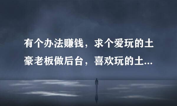 有个办法赚钱，求个爱玩的土豪老板做后台，喜欢玩的土豪，能拿出一两万就好的，甚至更低，土豪要懂网络