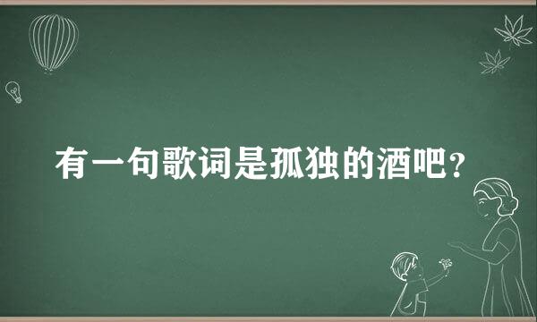 有一句歌词是孤独的酒吧？