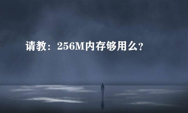 请教：256M内存够用么？