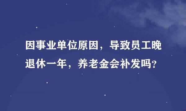 因事业单位原因，导致员工晚退休一年，养老金会补发吗？