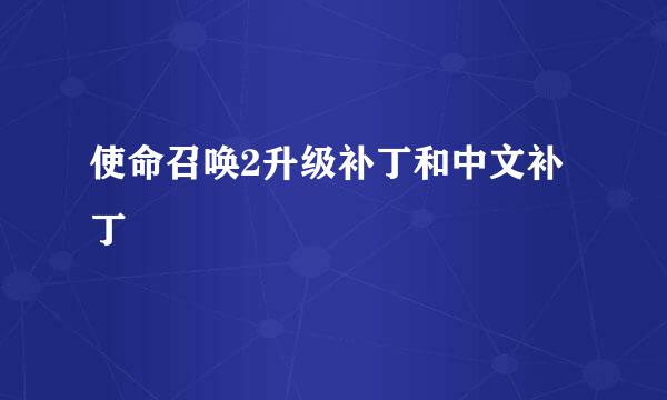 使命召唤2升级补丁和中文补丁