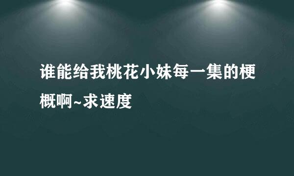 谁能给我桃花小妹每一集的梗概啊~求速度