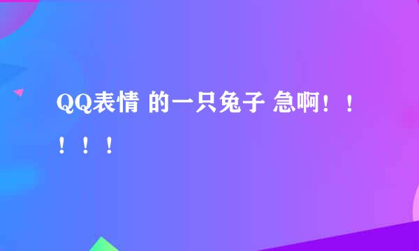 QQ表情 的一只兔子 急啊！！！！！