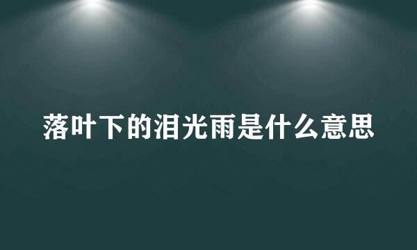 落叶下的泪光雨是什么意思