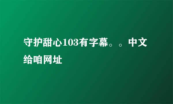 守护甜心103有字幕。。中文给咱网址