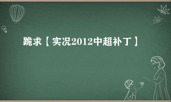 跪求【实况2012中超补丁】