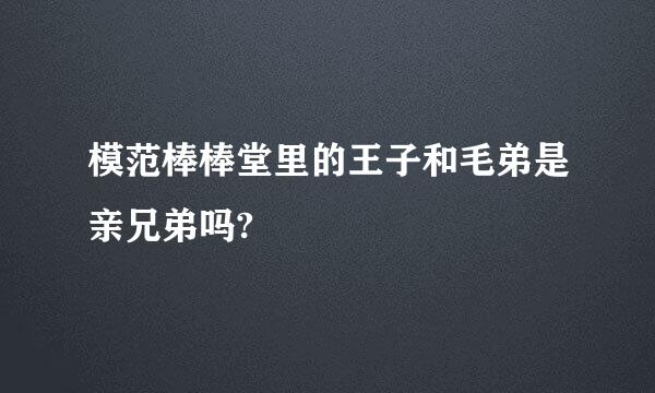 模范棒棒堂里的王子和毛弟是亲兄弟吗?