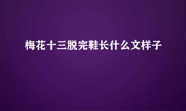 梅花十三脱完鞋长什么文样子