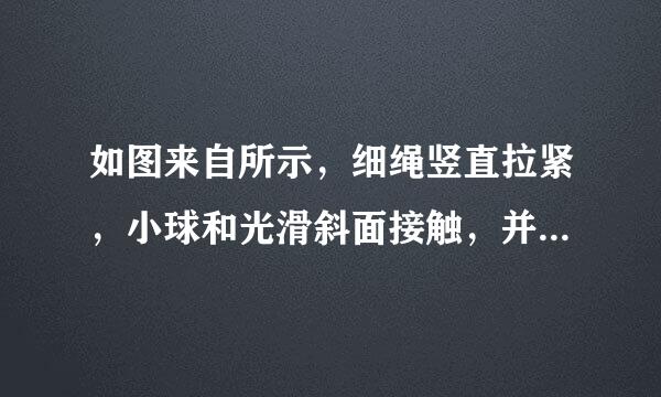 如图来自所示，细绳竖直拉紧，小球和光滑斜面接触，并处于静止状态，关于360问答小球受力情况的说法中，正确的是（