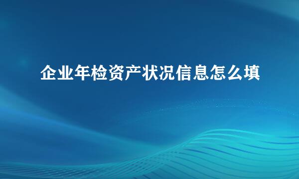 企业年检资产状况信息怎么填