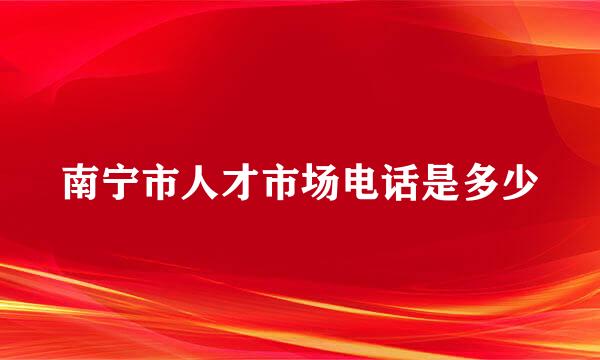 南宁市人才市场电话是多少