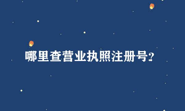 哪里查营业执照注册号？