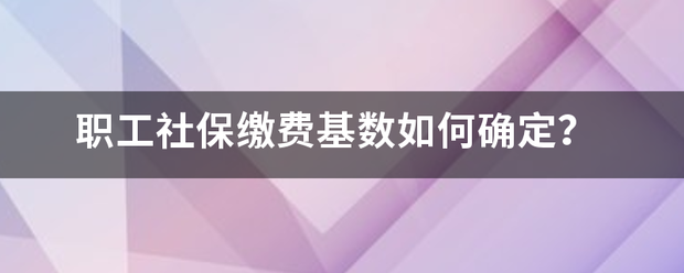 职工社保缴费基数如何确定？