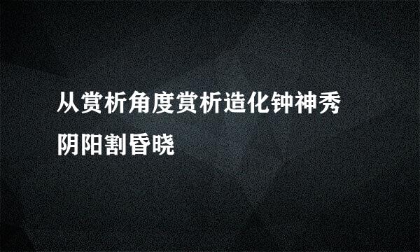 从赏析角度赏析造化钟神秀 阴阳割昏晓