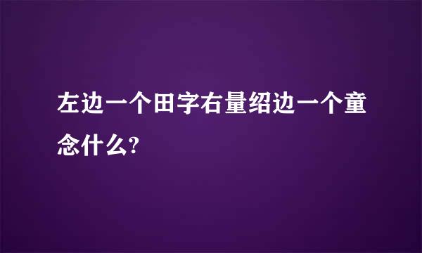 左边一个田字右量绍边一个童念什么?