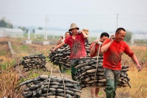 2019年五一劳动节法定节假日有几天