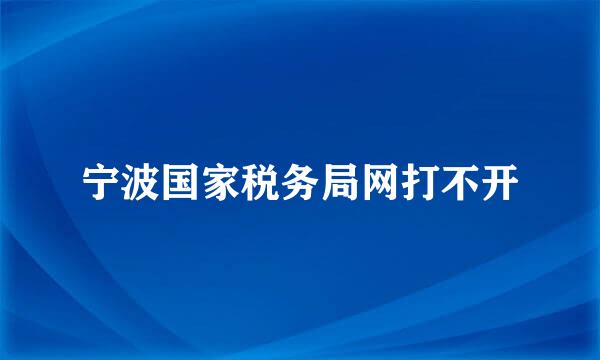 宁波国家税务局网打不开