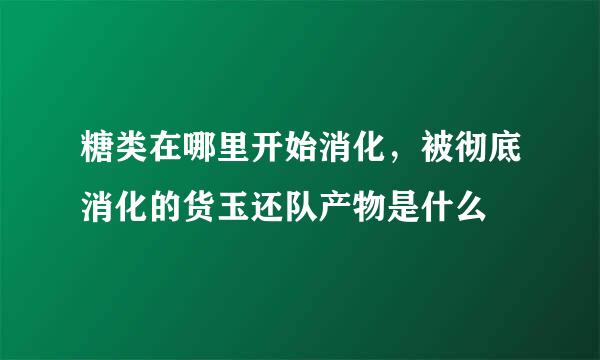 糖类在哪里开始消化，被彻底消化的货玉还队产物是什么