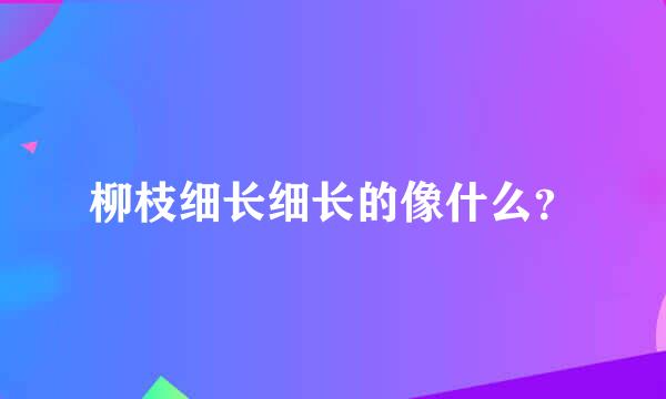 柳枝细长细长的像什么？