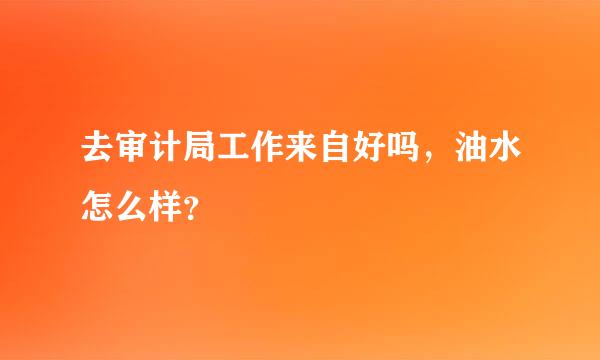 去审计局工作来自好吗，油水怎么样？