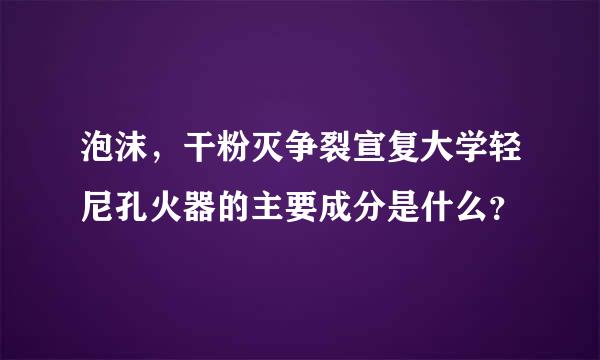 泡沫，干粉灭争裂宣复大学轻尼孔火器的主要成分是什么？