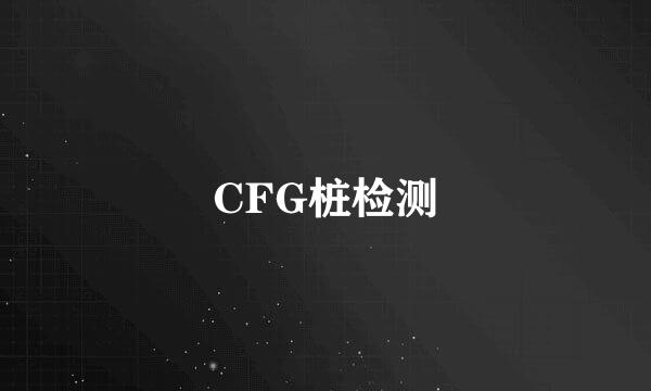 CFG桩检测