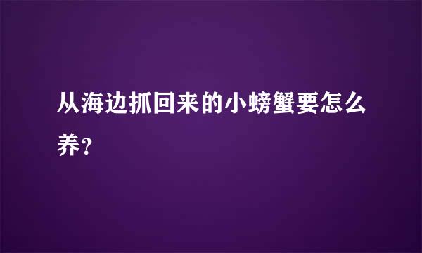 从海边抓回来的小螃蟹要怎么养？