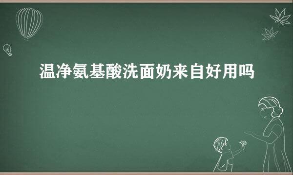 温净氨基酸洗面奶来自好用吗