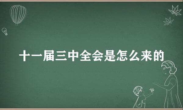 十一届三中全会是怎么来的