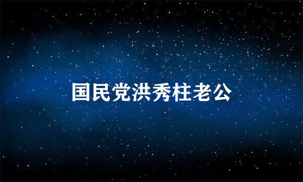 国民党洪秀柱老公