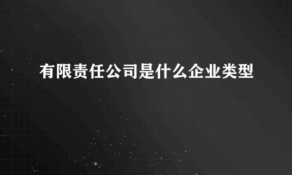 有限责任公司是什么企业类型