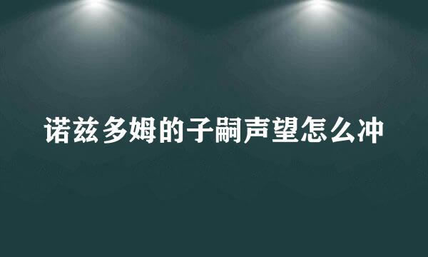 诺兹多姆的子嗣声望怎么冲