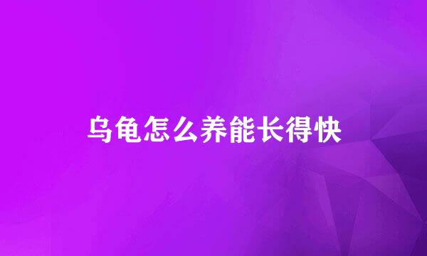 乌龟怎么养能长得快