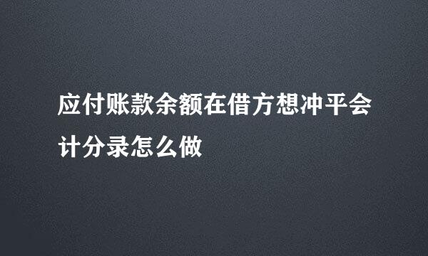 应付账款余额在借方想冲平会计分录怎么做